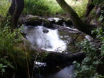 FZ019210 Water flowing Brook House Farm Campsite.jpg